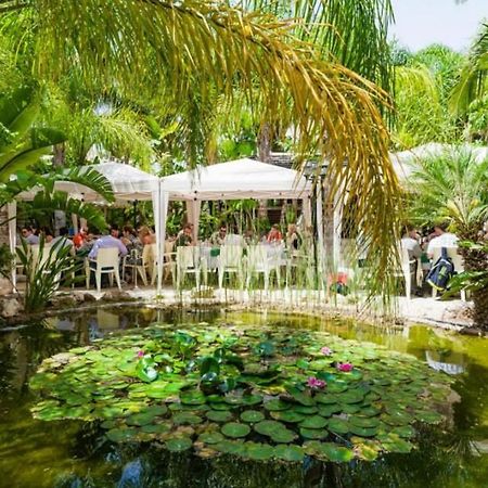 Garden Luxury Apartment アヤナパ エクステリア 写真