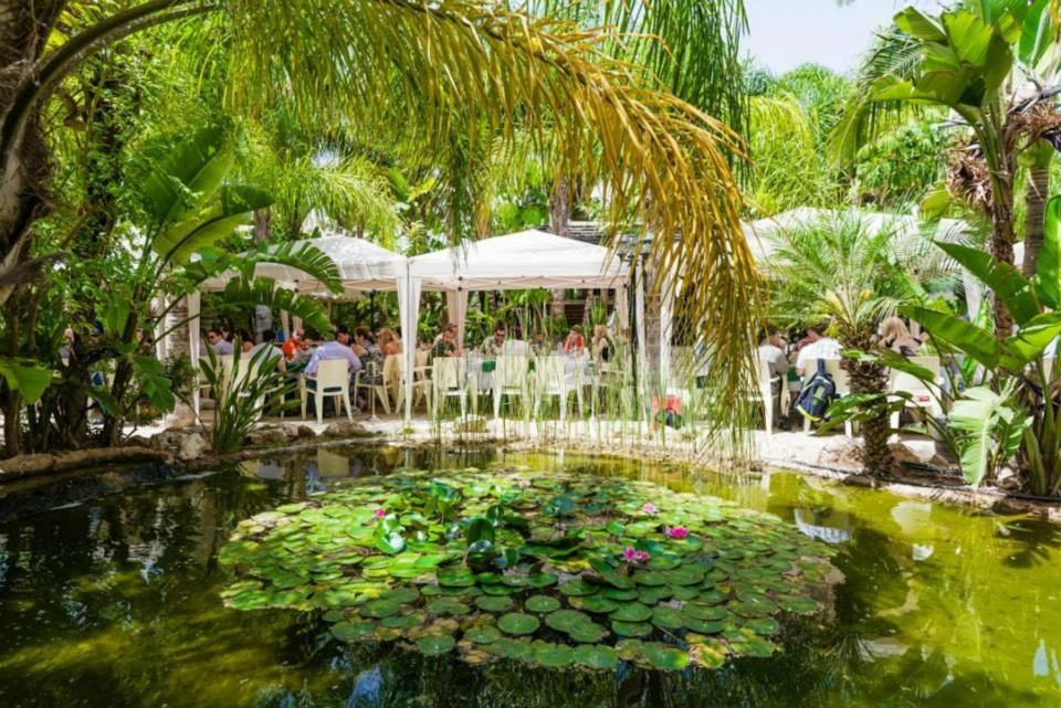 Garden Luxury Apartment アヤナパ エクステリア 写真